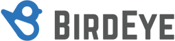 BirdEye Logo