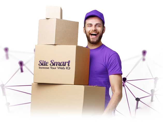 Ecommerce - Shipping Solutions For Business Websites